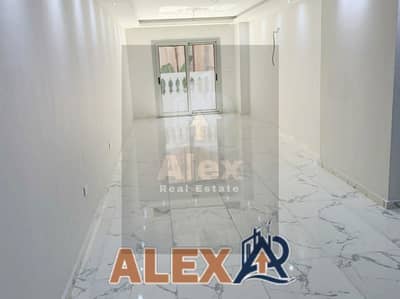Office for Rent in Bolkly, Alexandria - WhatsApp Image 2026-09-29 at 3.25. 20 PM. jpeg