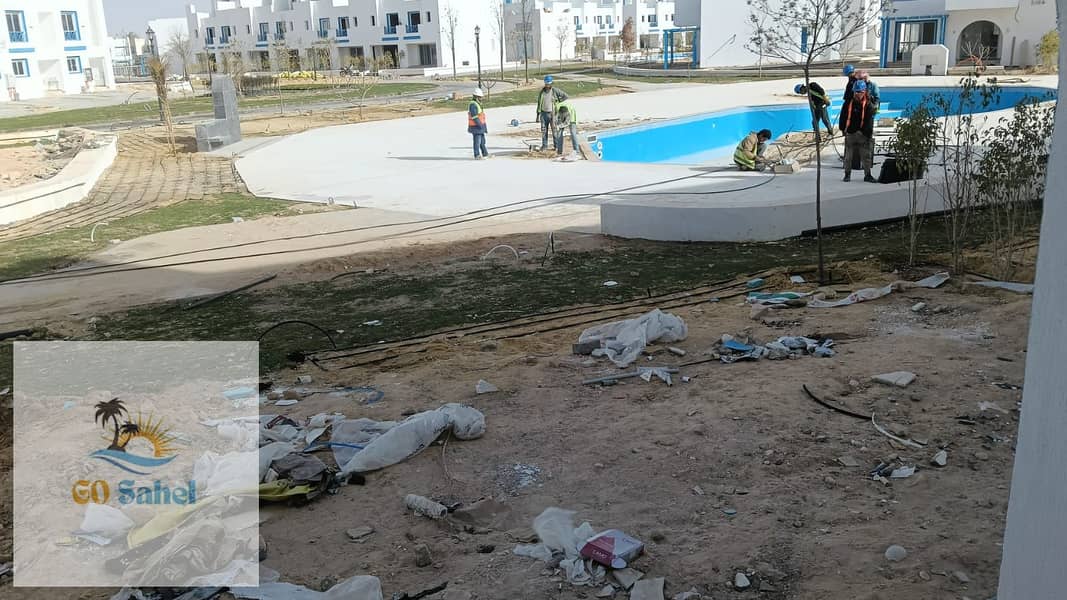3 233076. jpg