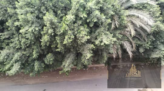 3 Bedroom Apartment for Sale in Shorouk City, Cairo - Screenshot 2026-09-29 163536. png 3 Bedroom Apartment for Sale in Shorouk City, Cairo - Screenshot 2026-09-29 163536. png