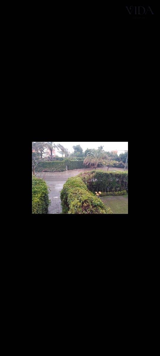 12 WhatsApp Image 2026-09-29 at 4.33. 50 PM. jpeg