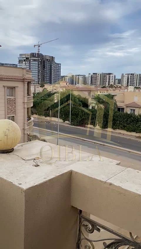 2 shqa-5-million-tashatib-fakher-sheikh-zayed. jpg. png