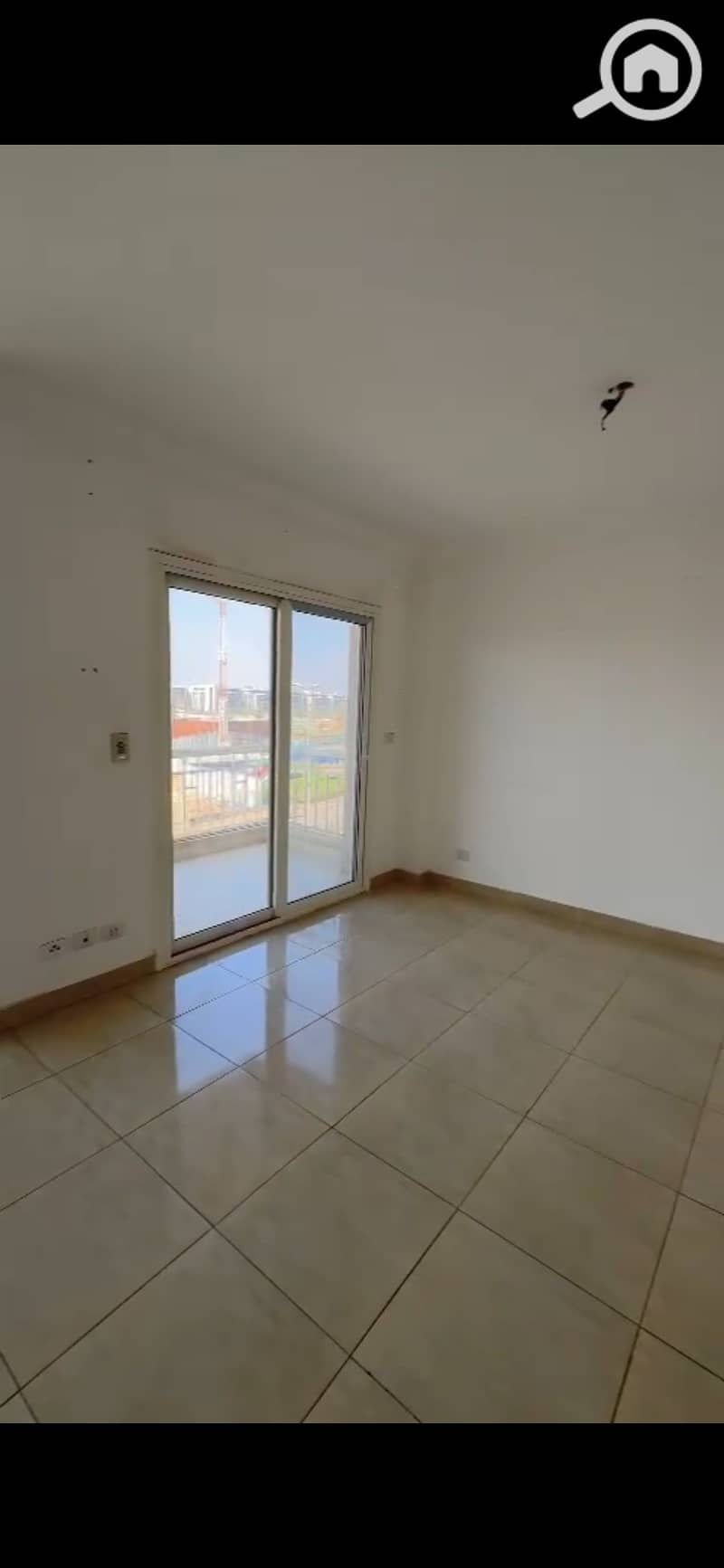 3 1000638041. jpg