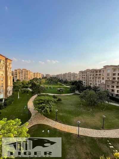 3 Bedroom Apartment for Rent in Madinaty, Cairo - 126428. jpg 3 Bedroom Apartment for Rent in Madinaty, Cairo - 126428. jpg