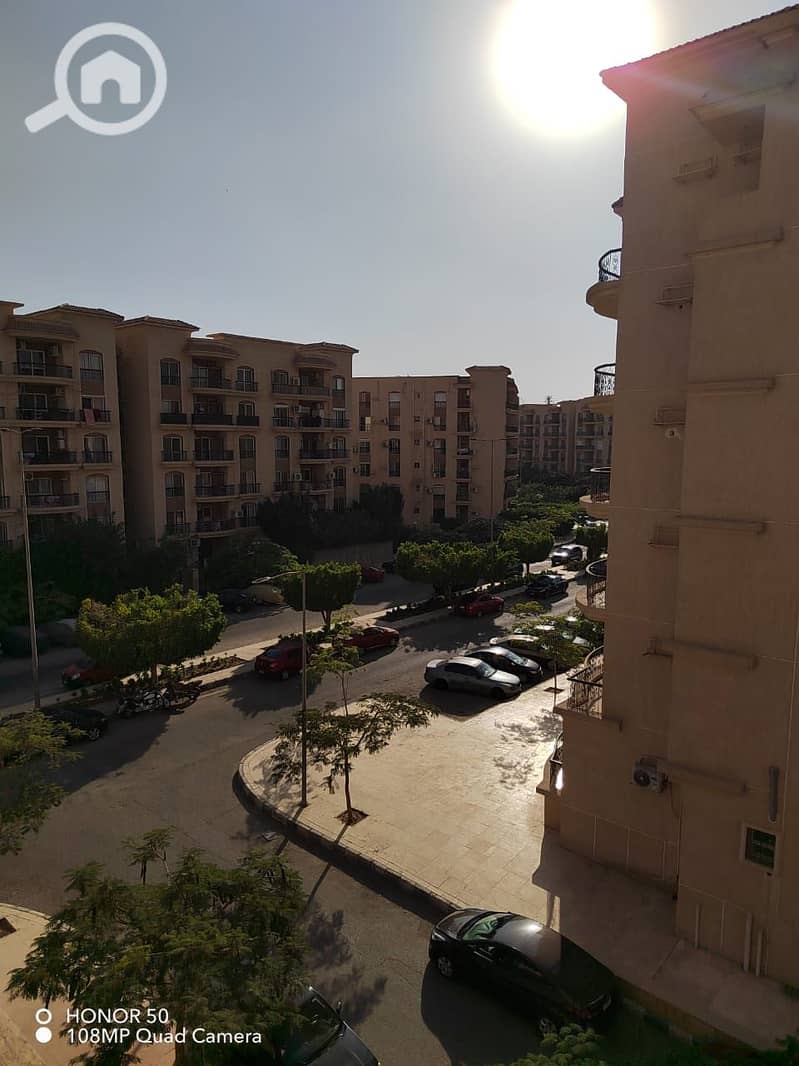 3 531936. jpg