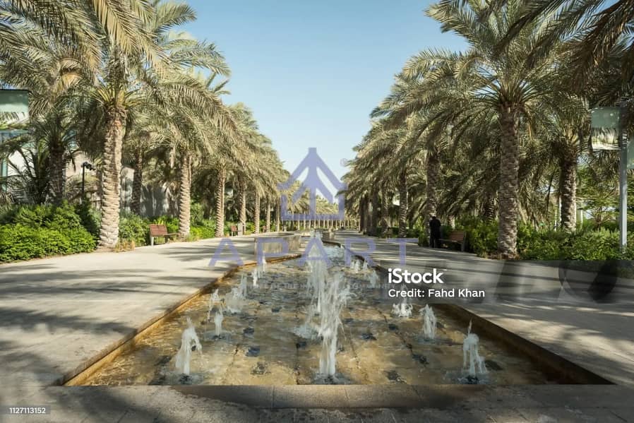 7 imgi_8_row-of-palm-trees-at-umm-al-emarat-park. jpg