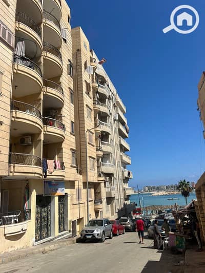 2 Bedroom Flat for Rent in North Coast, Matruh - 1000926103. jpg 2 Bedroom Flat for Rent in North Coast, Matruh - 1000926103. jpg