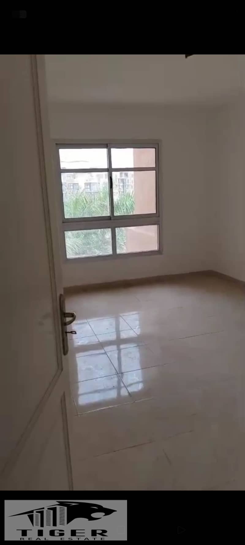 10 1000987120. jpg