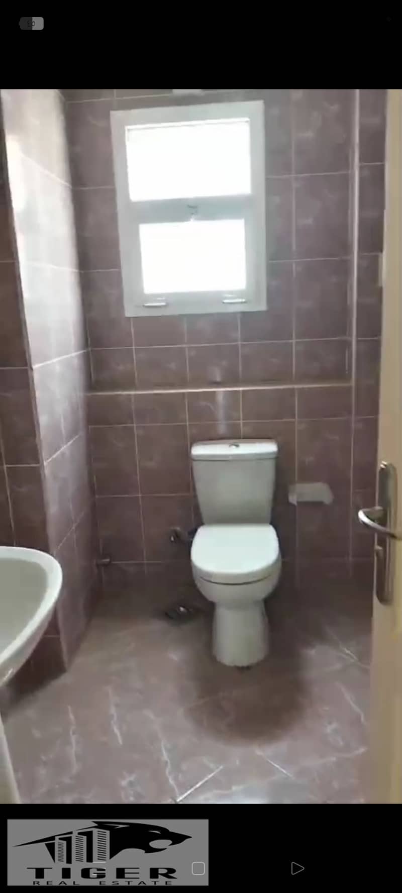 11 1000987121. jpg