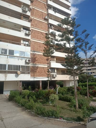 3 Bedroom Flat for Sale in Maamoura, Alexandria - شقة للبيع فى الاسكندرية معمورة الشاطئ ابراج المجموعة 3 Bedroom Flat for Sale in Maamoura, Alexandria - شقة للبيع فى الاسكندرية معمورة الشاطئ ابراج المجموعة