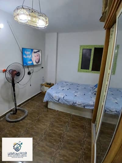 1 Bedroom Flat for Rent in Maadi, Cairo - 1000289391. jpg 1 Bedroom Flat for Rent in Maadi, Cairo - 1000289391. jpg