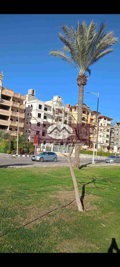 3 Bedroom Flat for Sale in New Damietta, Damietta - 1000569457. jpg 3 Bedroom Flat for Sale in New Damietta, Damietta - 1000569457. jpg