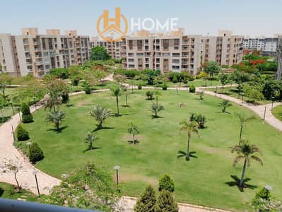 3 Bedroom Flat for Rent in Madinaty, Cairo - WhatsApp Image 2026-09-27 at 12.45. 08 AM (1). jpeg 3 Bedroom Flat for Rent in Madinaty, Cairo - WhatsApp Image 2026-09-27 at 12.45. 08 AM (1). jpeg