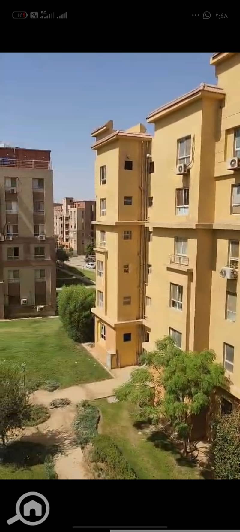 7 19855. jpg