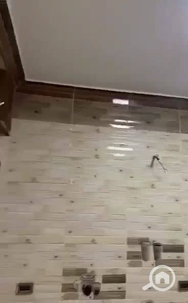 7 1000510903. jpg
