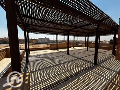 3 Bedroom Flat for Rent in New Cairo, Cairo - 1000026682. jpg