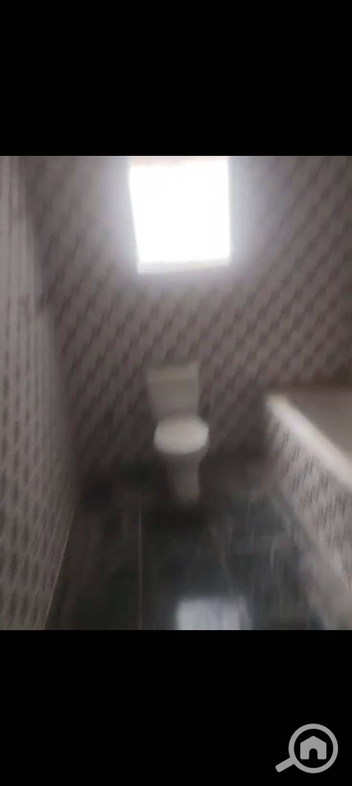 9 1000026741. jpg