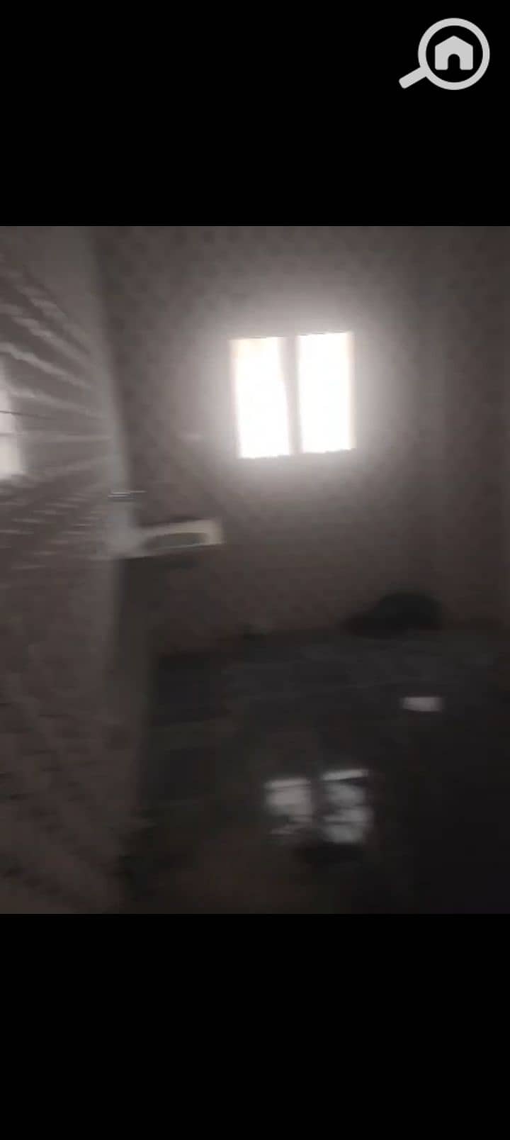 11 1000026745. jpg