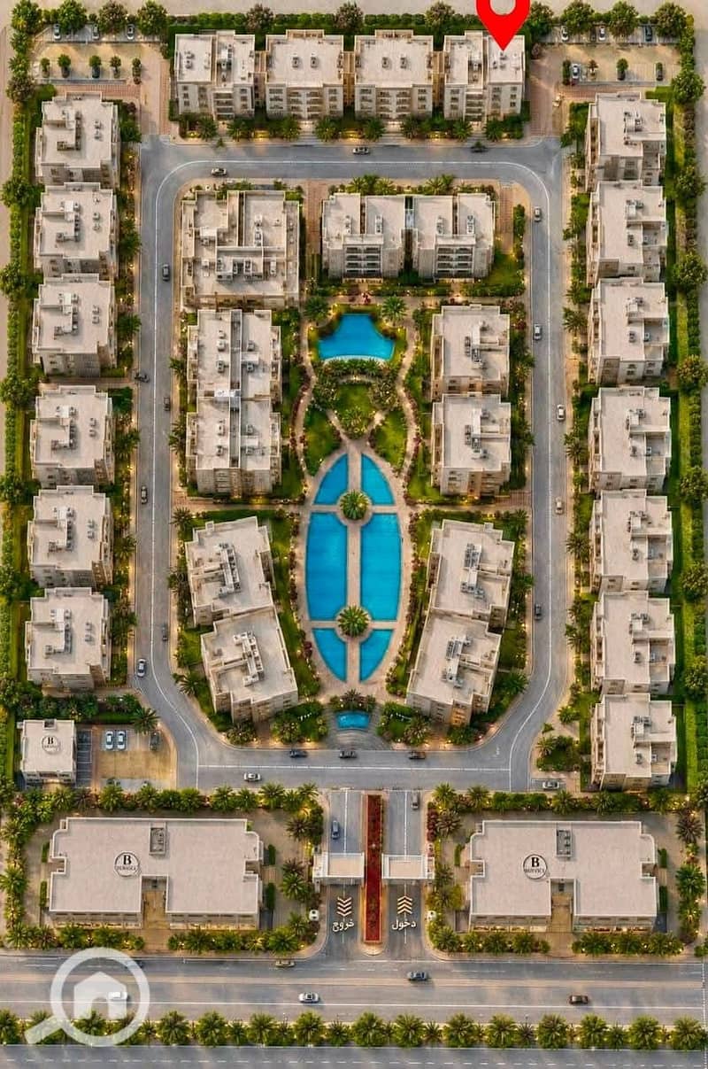 12 63926. jpg