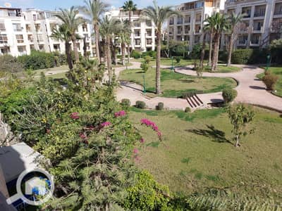 فلیٹ 2 غرفة نوم للايجار في الشيخ زايد، الجيزة - WhatsApp Image 2026-09-28 at 3.04. 36 PM. jpeg