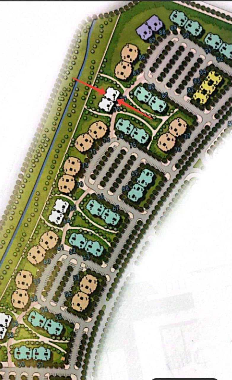3 55042. jpg