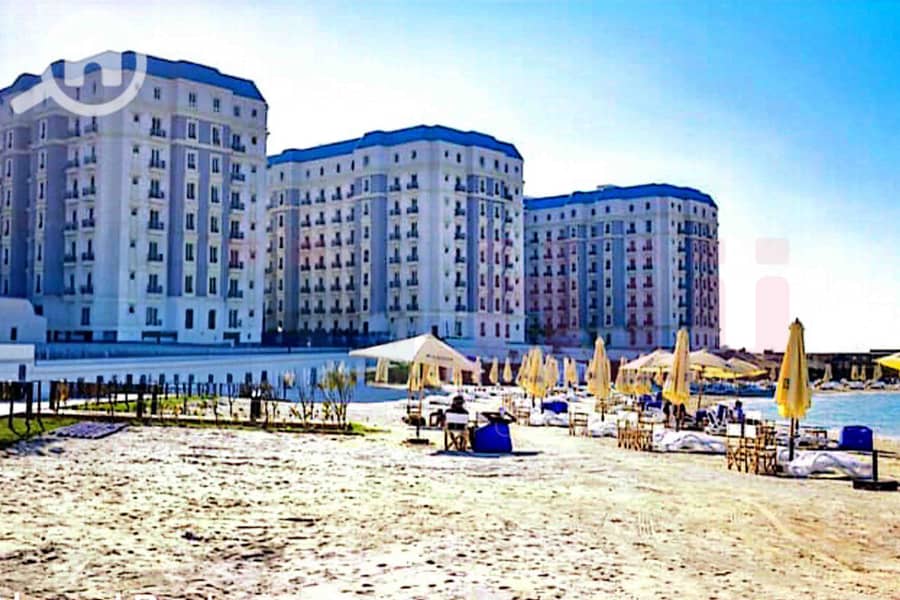 صور لاتينى-1. jpg صور لاتينى-1. jpg