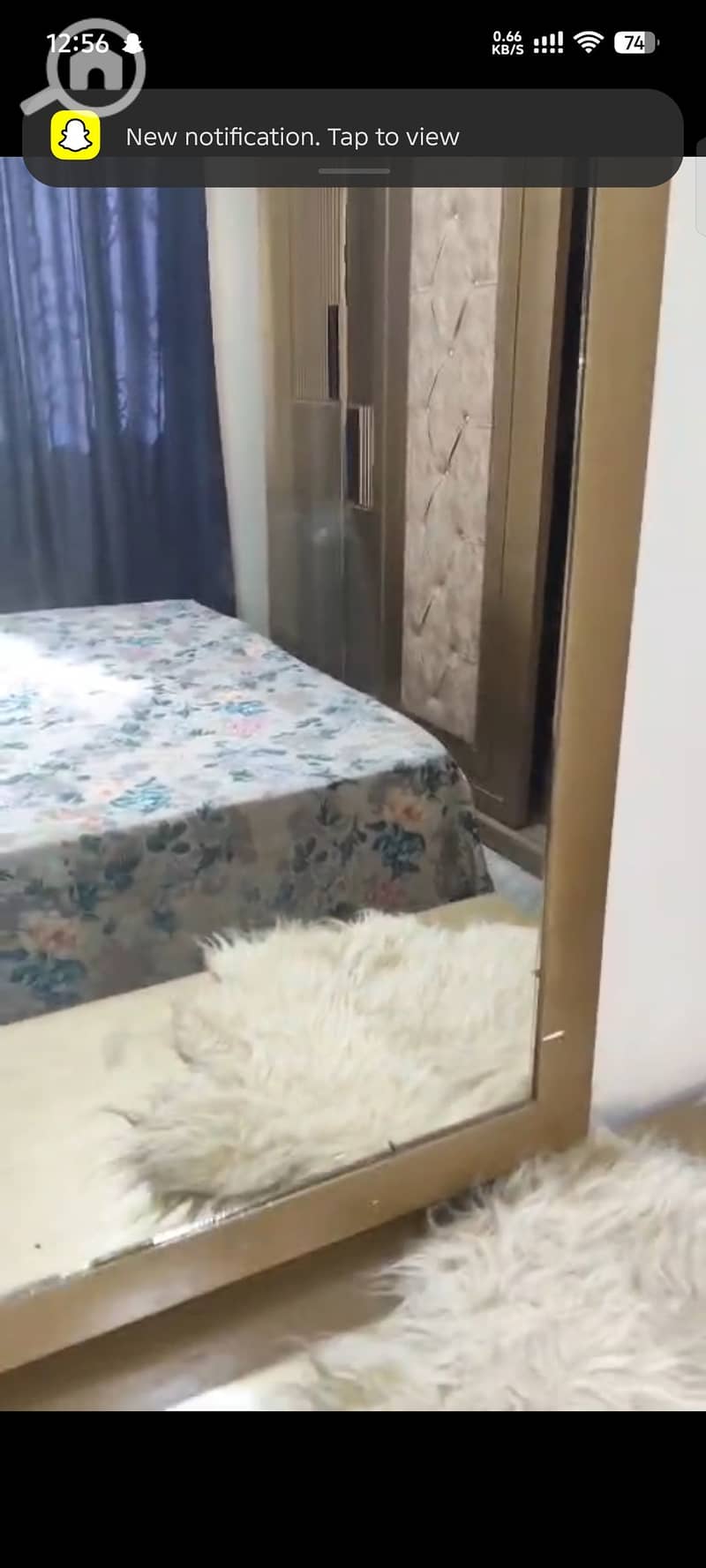 8 37836. jpg