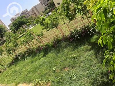 2 Bedroom Flat for Sale in Madinaty, Cairo - IMG-20260927-WA0116. jpg