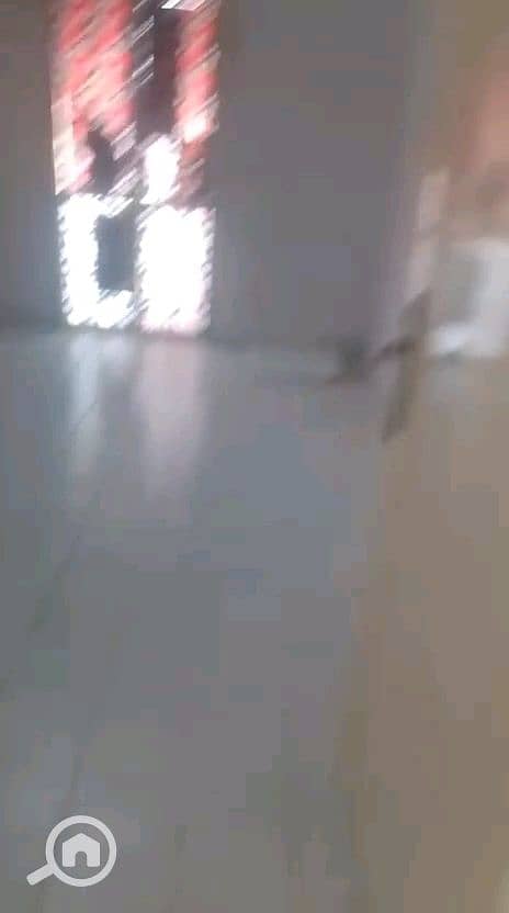 11 vf_VID-20260927-WA0125_38000. jpeg