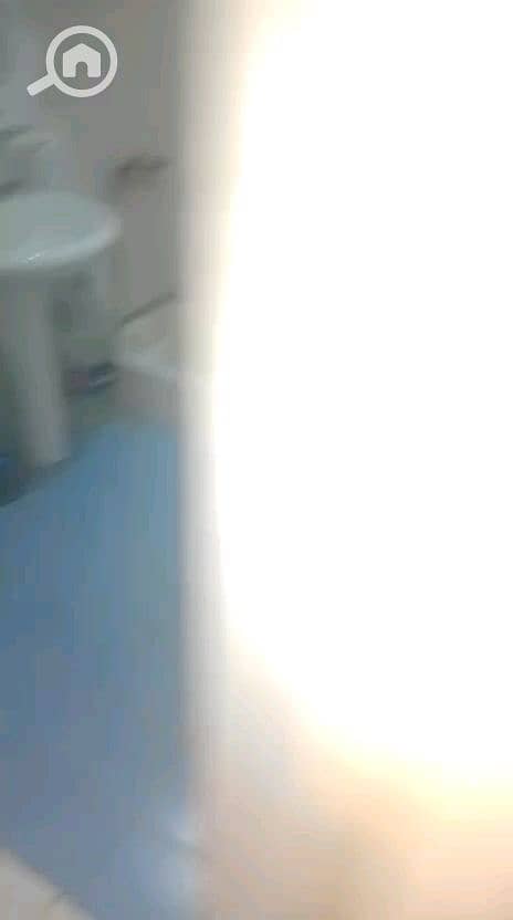 17 vf_VID-20260927-WA0125_74000. jpeg