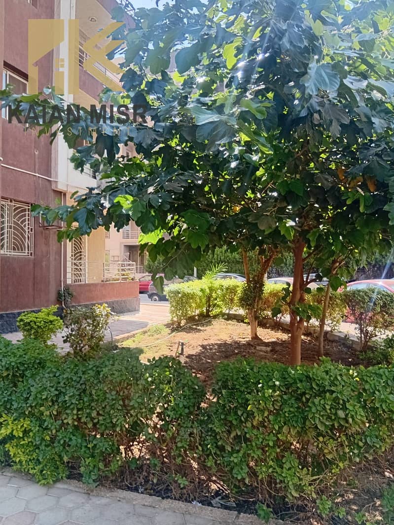 4 13543. jpg