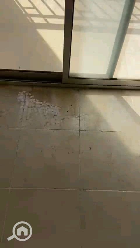 12 vf_VID-20260928-WA0040_306000. jpeg