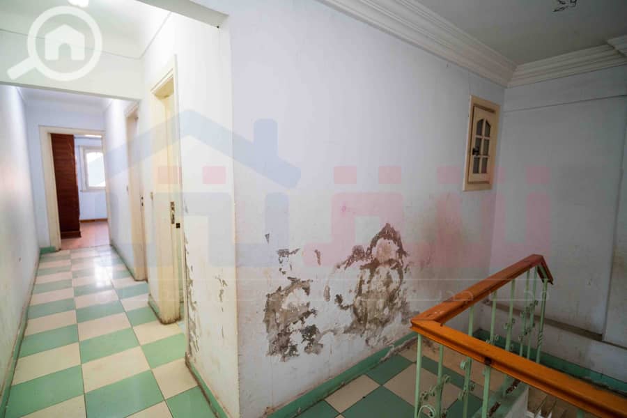 5 DSC06022. jpg