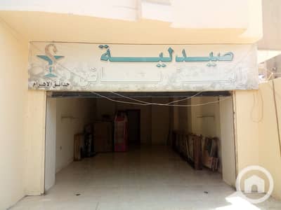 Pharmacy for Rent in Hadayek al-Ahram, Giza - WhatsApp Image 2026-09-29 at 12.38. 24 (3). jpeg