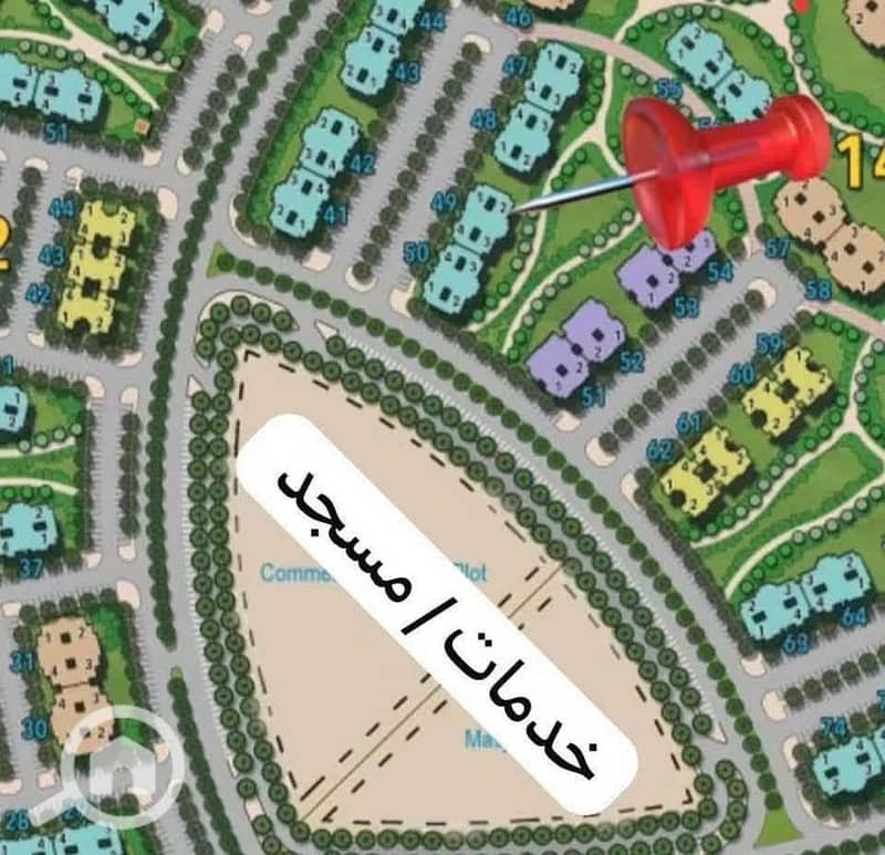 2 55229. jpg