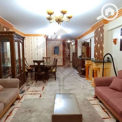 شقة 3 غرف نوم للايجار في جناكليس، الإسكندرية - 2. jpg شقة 3 غرف نوم للايجار في جناكليس، الإسكندرية - 2. jpg