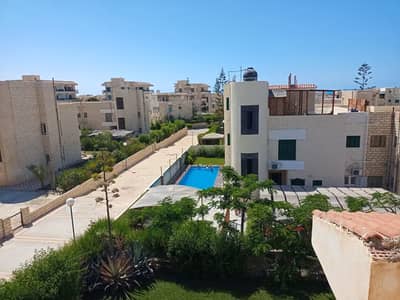 3 Green Beach