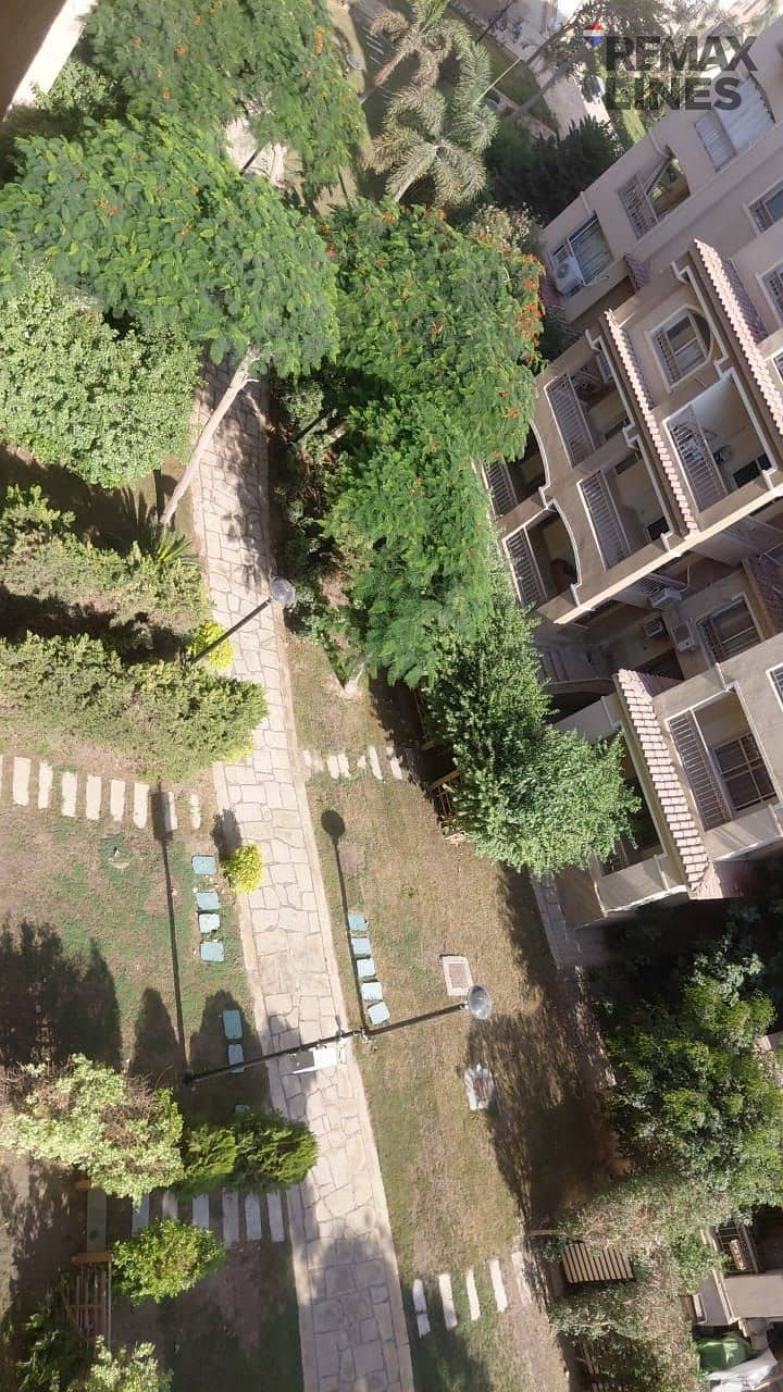 8 1000809952. jpg