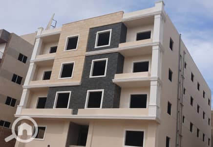 3 Bedroom Flat for Sale in New Cairo, Cairo - b9faf7e0-fa7a-45b1-affb-588f9d42a380. jpg 3 Bedroom Flat for Sale in New Cairo, Cairo - b9faf7e0-fa7a-45b1-affb-588f9d42a380. jpg