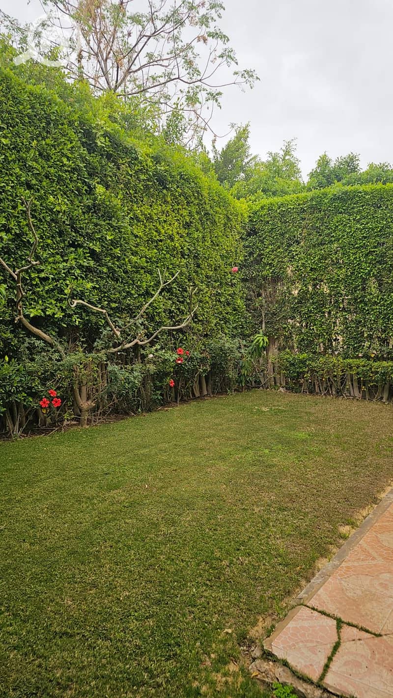 20 1002980791. jpg