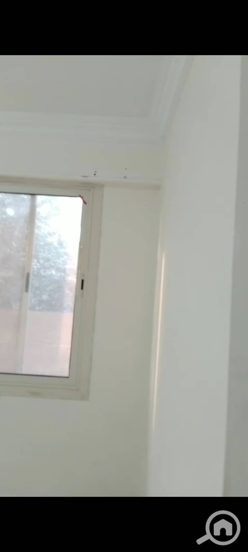 10 1000687300. png
