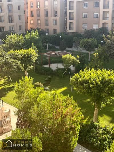 3 Bedroom Apartment for Sale in New Cairo, Cairo - WhatsApp Image 2026-09-30 at 4.04. 49 PM. jpeg