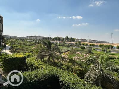 3 Bedroom Flat for Rent in Madinaty, Cairo - 1000711271. jpg 3 Bedroom Flat for Rent in Madinaty, Cairo - 1000711271. jpg