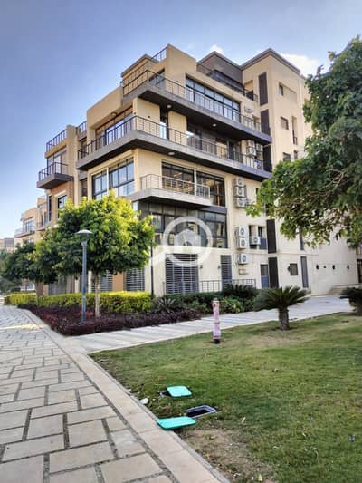 3 Bedroom Flat for Rent in Madinaty, Cairo - 1000180290. jpg 3 Bedroom Flat for Rent in Madinaty, Cairo - 1000180290. jpg