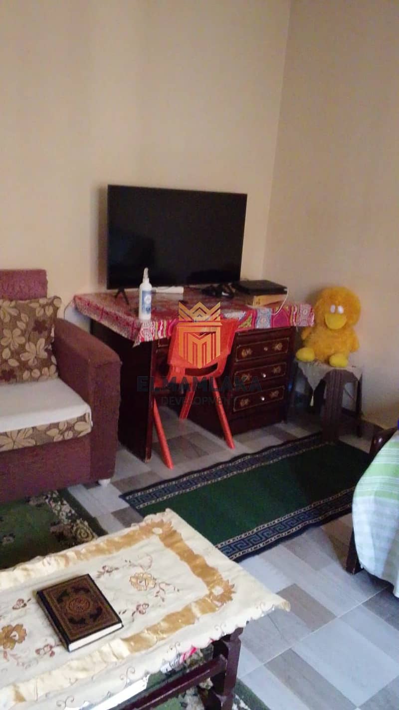 8 59195. jpg