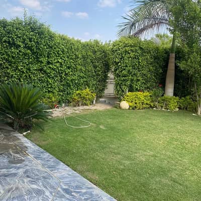 دوبلكس 3 غرف نوم للايجار في الشيخ زايد، الجيزة - WhatsApp Image 2026-09-24 at 6.21. 12 AM (1). jpeg دوبلكس 3 غرف نوم للايجار في الشيخ زايد، الجيزة - WhatsApp Image 2026-09-24 at 6.21. 12 AM (1). jpeg