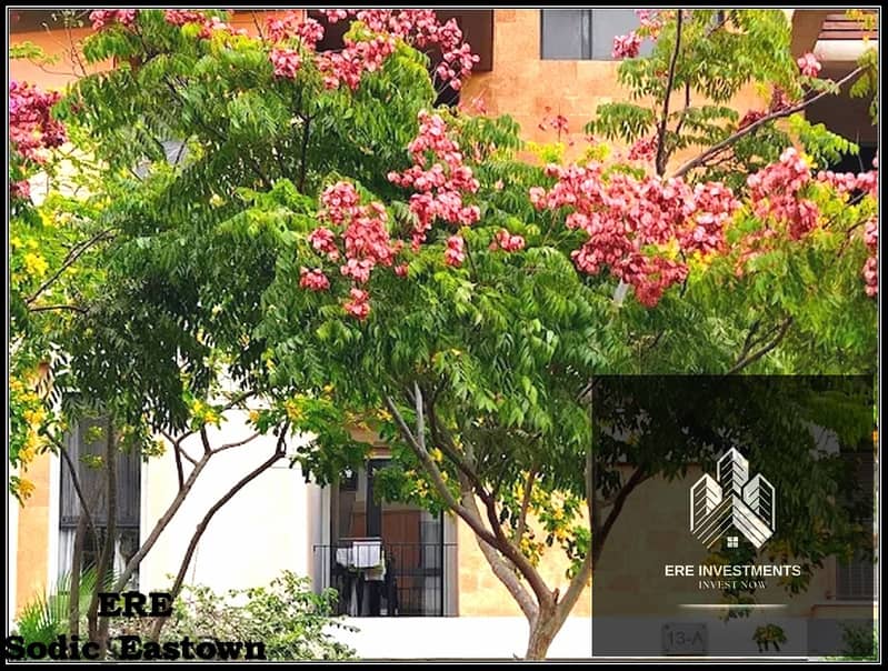 5 Eastown_74. jpg