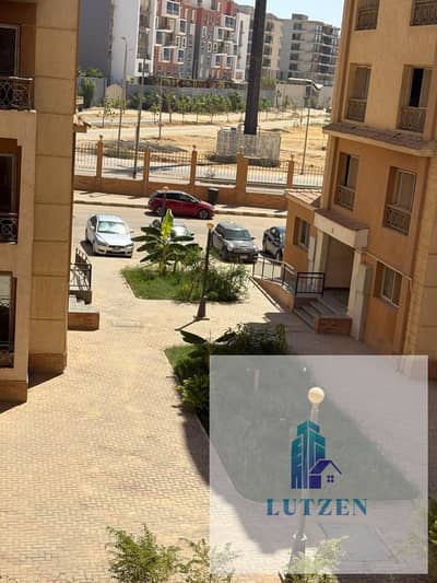 فلیٹ 3 غرف نوم للايجار في القاهرة الجديدة، القاهرة - WhatsApp Image 2026-09-16 at 11.33. 21 AM. jpeg