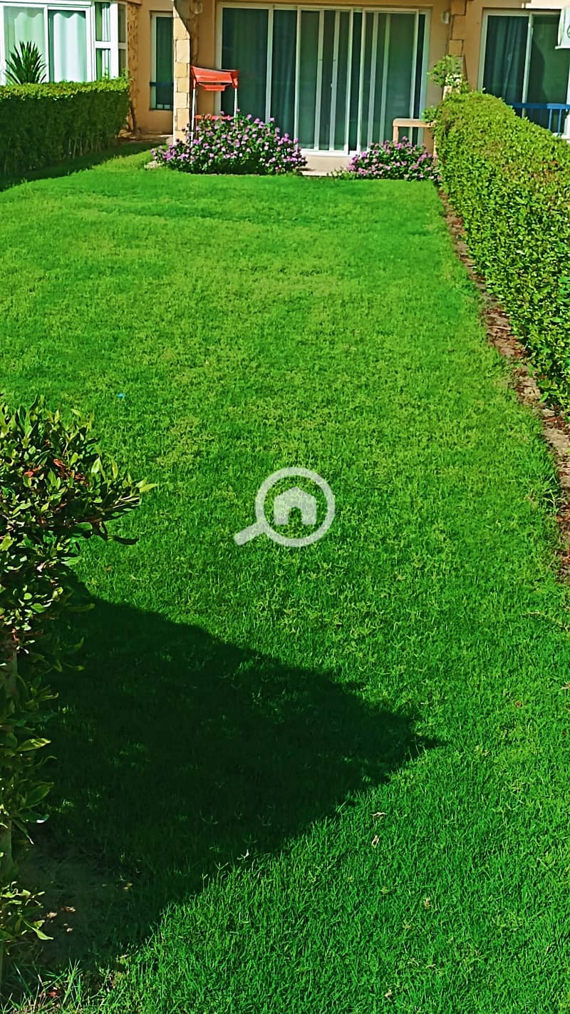 1000167937. webp 1000167937. webp