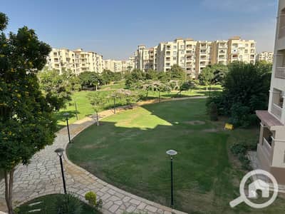 3 Bedroom Flat for Rent in Madinaty, Cairo - WhatsApp Image 2026-09-28 at 21.03. 52. jpeg 3 Bedroom Flat for Rent in Madinaty, Cairo - WhatsApp Image 2026-09-28 at 21.03. 52. jpeg