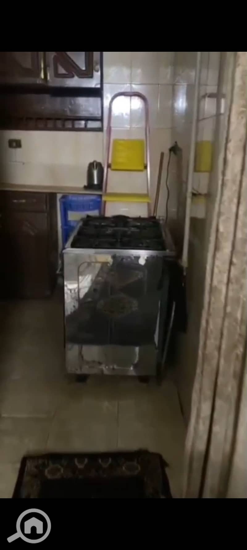 9 1000533805. jpg
